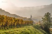 Herbst am Kaiserstuhl