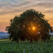 Sonnenuntergang