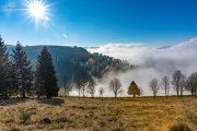 Schauinsland _ Schwarzwald