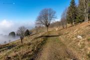 Schauinsland _ Schwarzwald