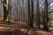Schauinsland _ Schwarzwald