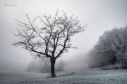 Schauinsland _ Schwarzwald
