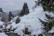 Winter im Schwarzwald
