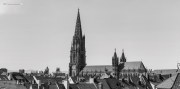 Freiburg Münster