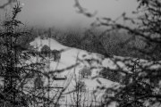 Schwarzwald