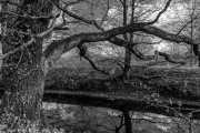 Natur