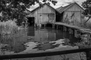 DSC1670-sw