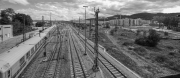 Freiburg  schwarz_weiß