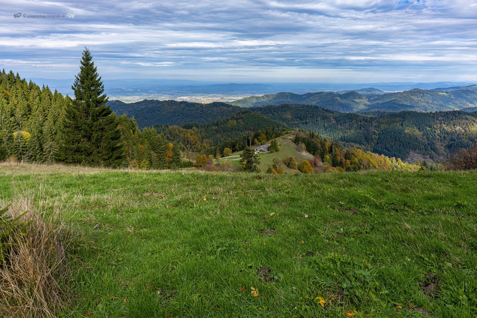 Schwarzwald - Black Forest  Kälbelescheuer