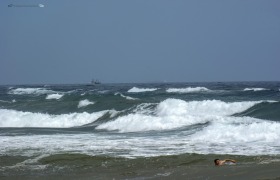 SONY DSC