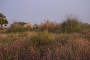 Südfrankreich